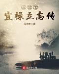 十大公认三国神作