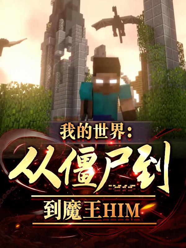 我的世界从僵尸到魔王him 视频